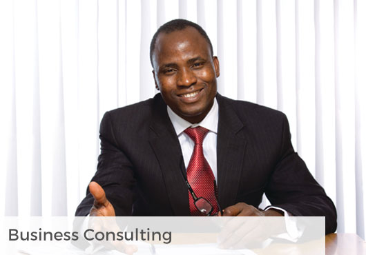 business consulting